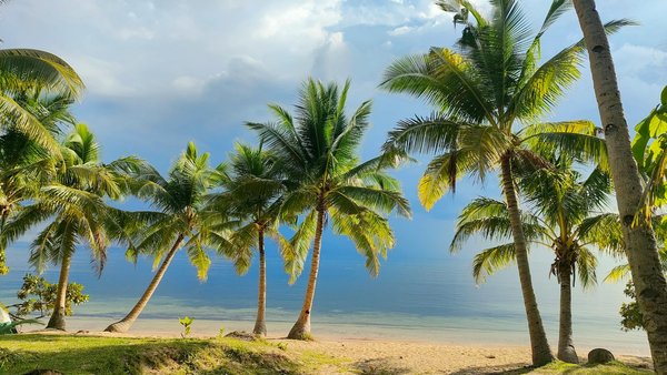 What Are the Best Insights for Planning a Cruise Around the UK?